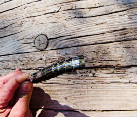12 cm - corne de buffle